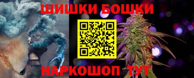 мдпв Кингисепп