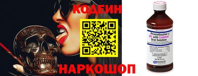 мдпв Кингисепп