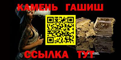 мдпв Кингисепп