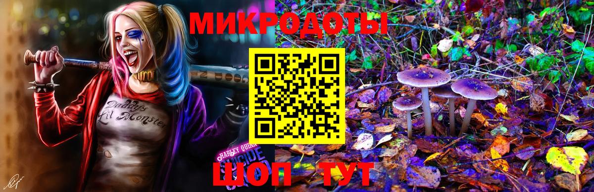 Псилоцибиновые грибы Magic Shrooms Кувандык