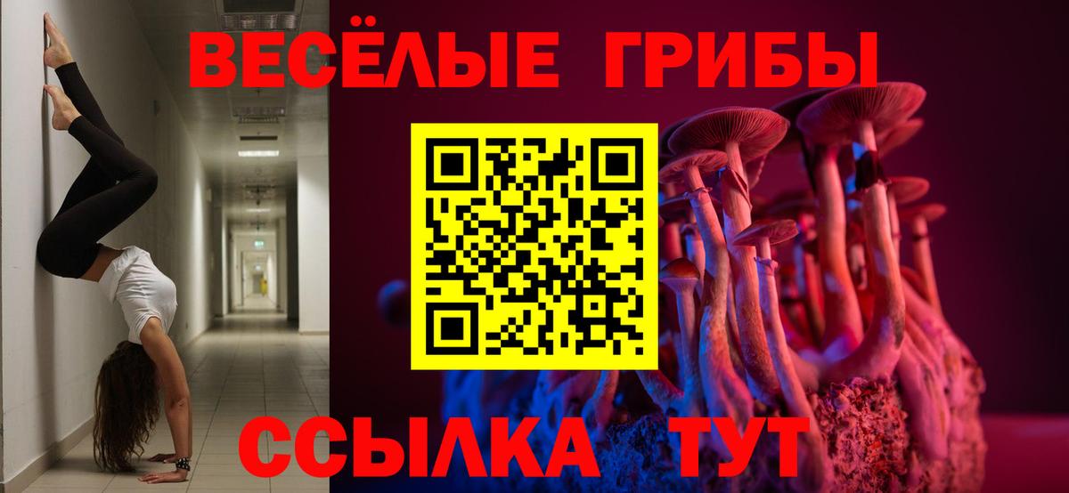 Кувандык  цена   Вход с VPN  Псилоцибиновые грибы MAGIC MUSHROOMS  Галлюциногенные грибы ЛСД 